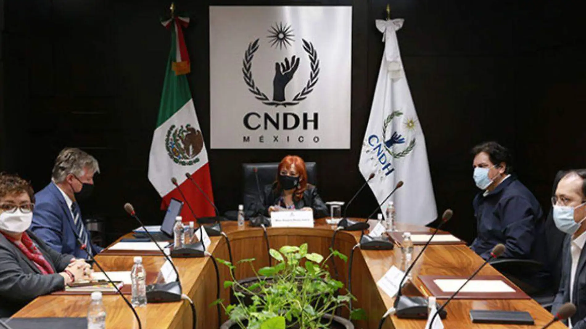 Renuncian todos los integrantes del Consejo Consultivo de la CNDH